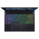 Acer Predator Helios 300 PH315-55-795C (NH.QH9AA.001)