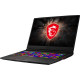 MSI GE75 Raider 10SGS Black (GE7510SGS-408UA)