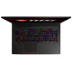 MSI GE75 Raider 10SGS Black (GE7510SGS-023UA)
