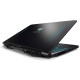 Acer Predator Helios 300 PH315-53 Black (NH.QATEU.007)