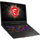 MSI GE75 Raider 10SGS (GE7510SGS-298US)
